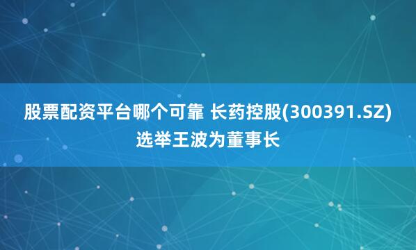 股票配资平台哪个可靠 长药控股(300391.SZ)选举王波为董事长