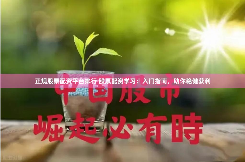 正规股票配资平台排行 股票配资学习:入门指南,助你稳健获利