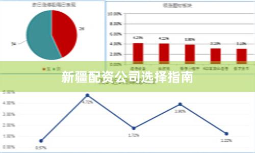 新疆配资公司选择指南